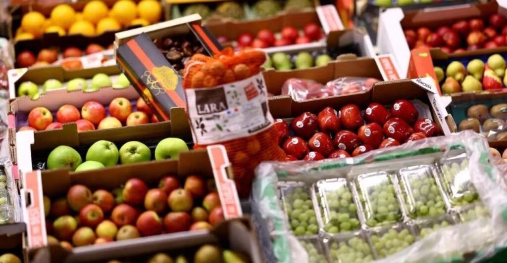 fresh fruit import